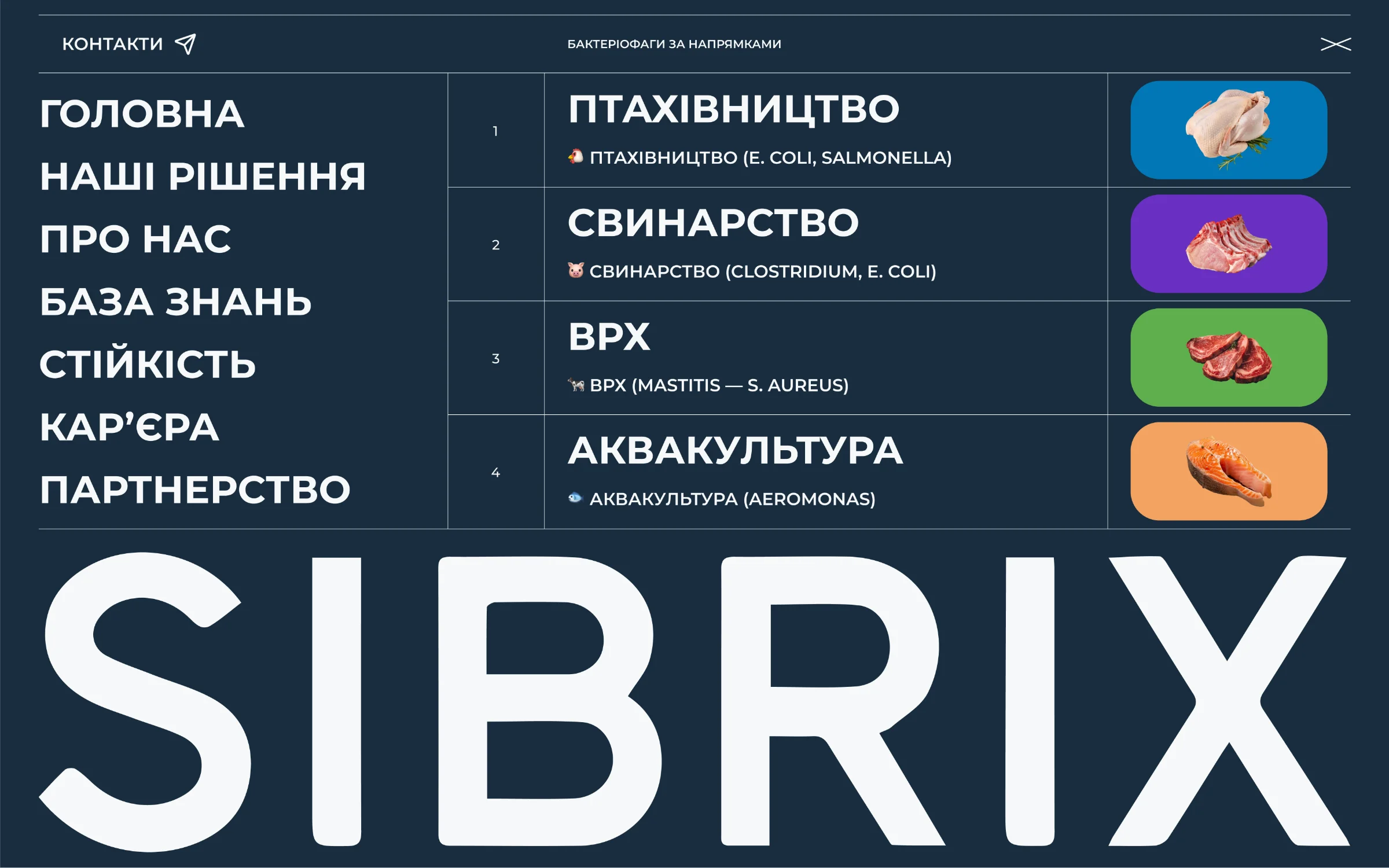 Sibrix — Interactive Discovery
